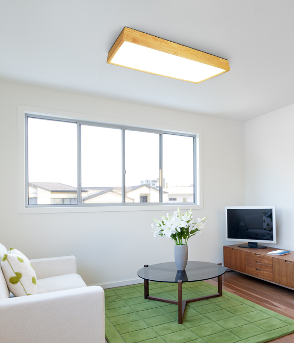 디오 2등 50W 국산LED거실등 아파트거실등