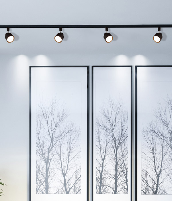 바이 이중원통 레일 [블랙,화이트]